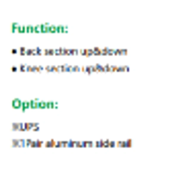 Vin Win   2 Function Electric Bed